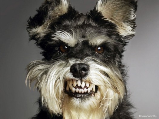 1c78039465722a85df5905c88db9de35